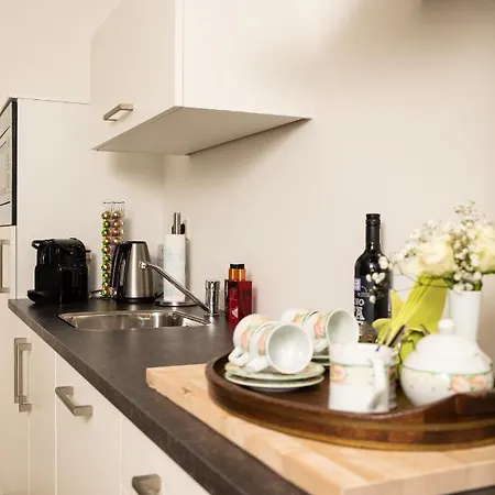 Luxury 'de Heerlijckheid Lisse' Apartment Lisse