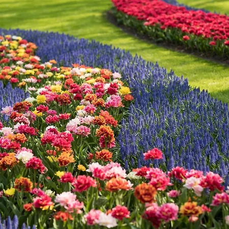 Luxury 'de Heerlijckheid Lisse' 아파트 *