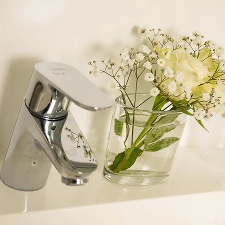 Luxury 'de Heerlijckheid Lisse' *