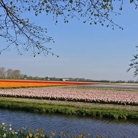 Luxury 'de Heerlijckheid Lisse'