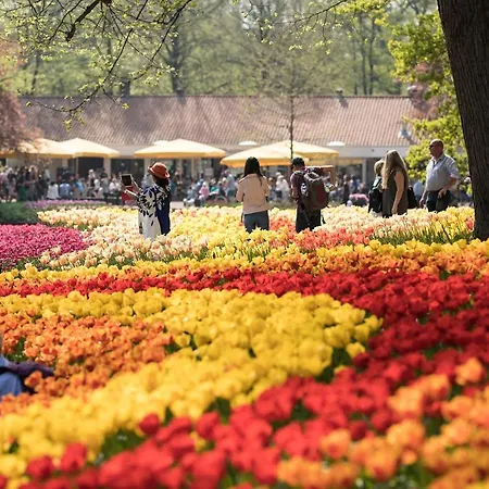 Luxury 'de Heerlijckheid Lisse' 아파트